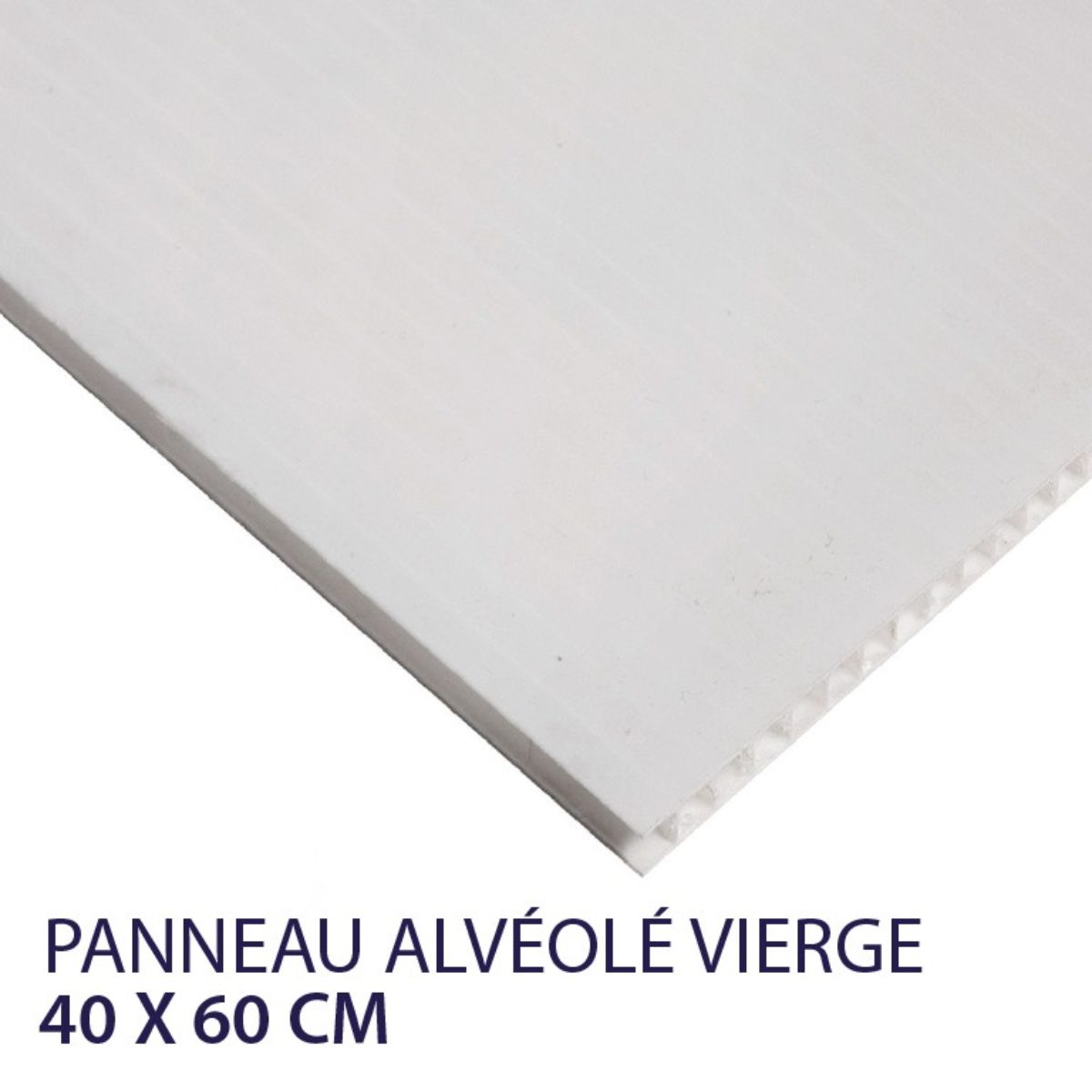 Panneau alvéolaire 40x60 cm vierge